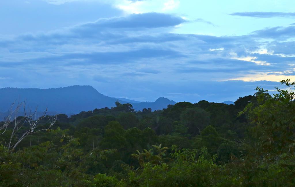 Blue Banyan Inn Quepos Exteriér fotografie
