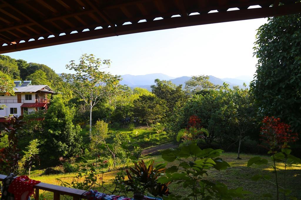 Blue Banyan Inn Quepos Exteriér fotografie