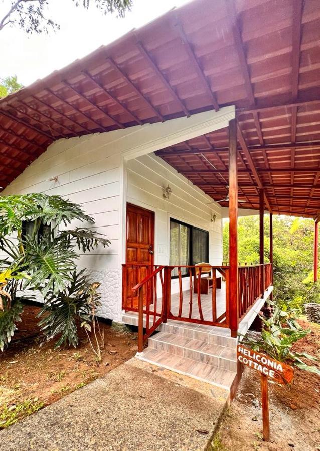 Blue Banyan Inn Quepos Exteriér fotografie